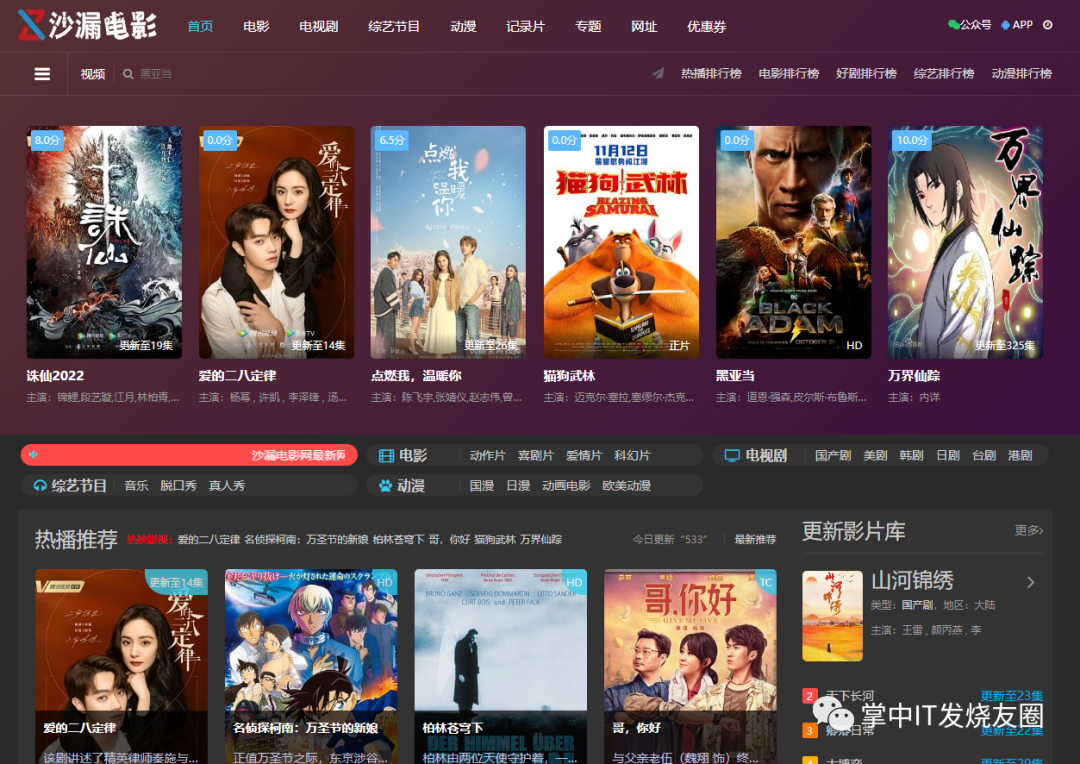 夜夜播放器 在线观看 推荐