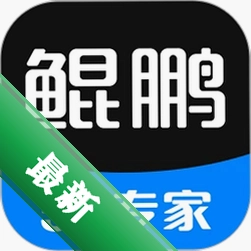 鲲鹏无限图标