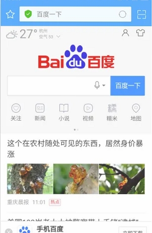 ��ӥ��������н�ͼ