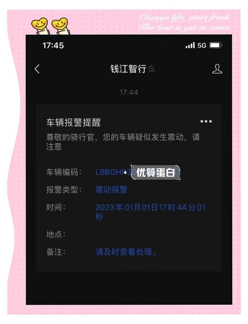 哇噻智联运行截图