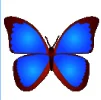 bkViewerv8.8d数码照片浏览工具