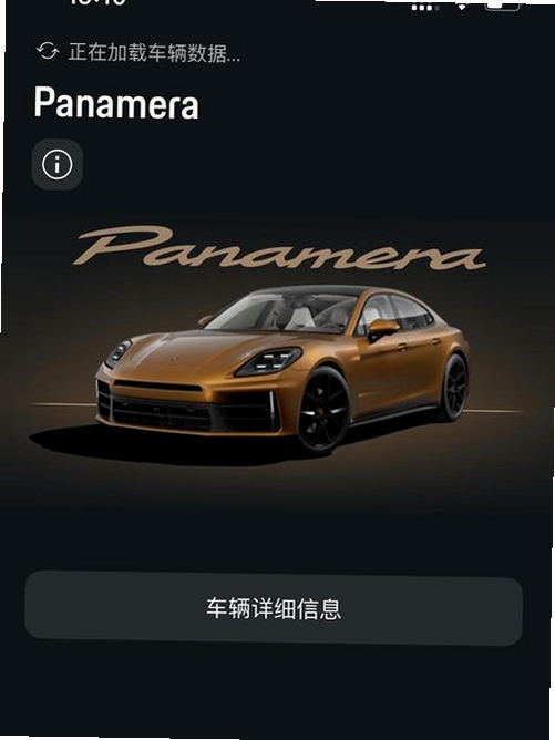 保罗运行截图