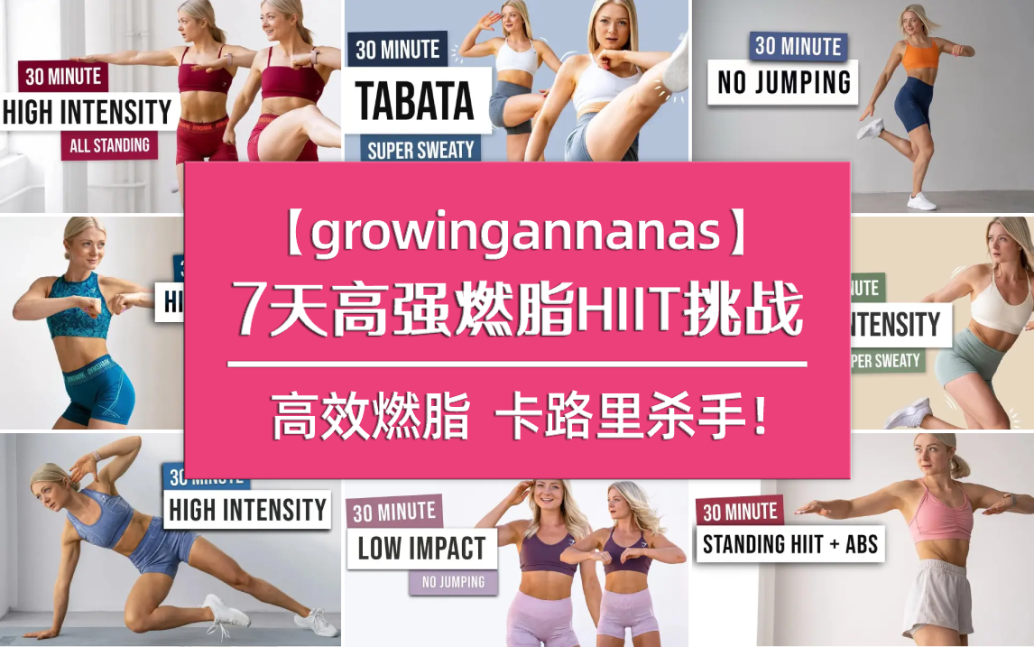 ���˶� HIIT ȼ֬ ѵ���ƻ�����