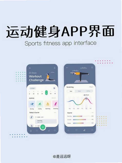 mentech sports运行截图