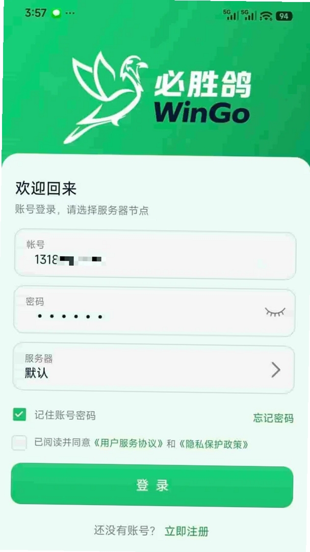 WinPigeon运行截图
