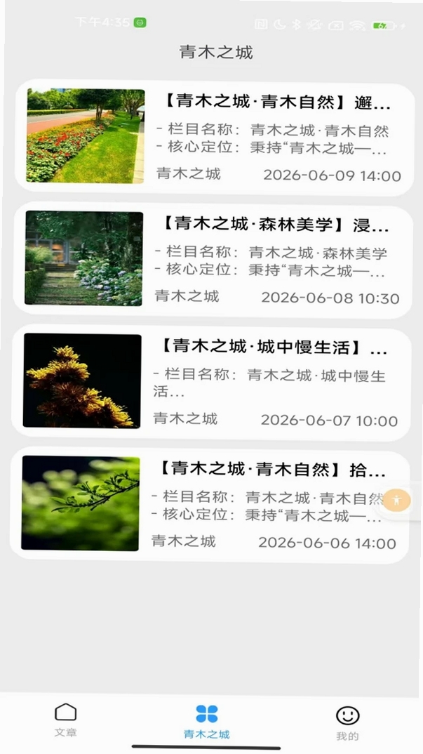青木之城运行截图