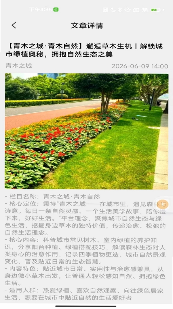 青木之城运行截图