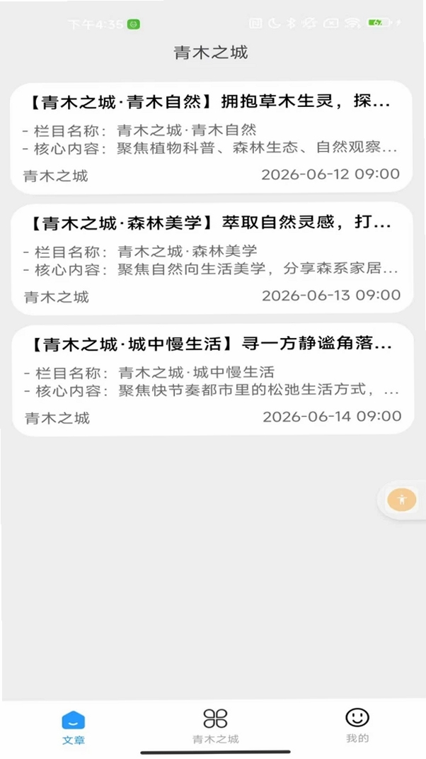 青木之城运行截图