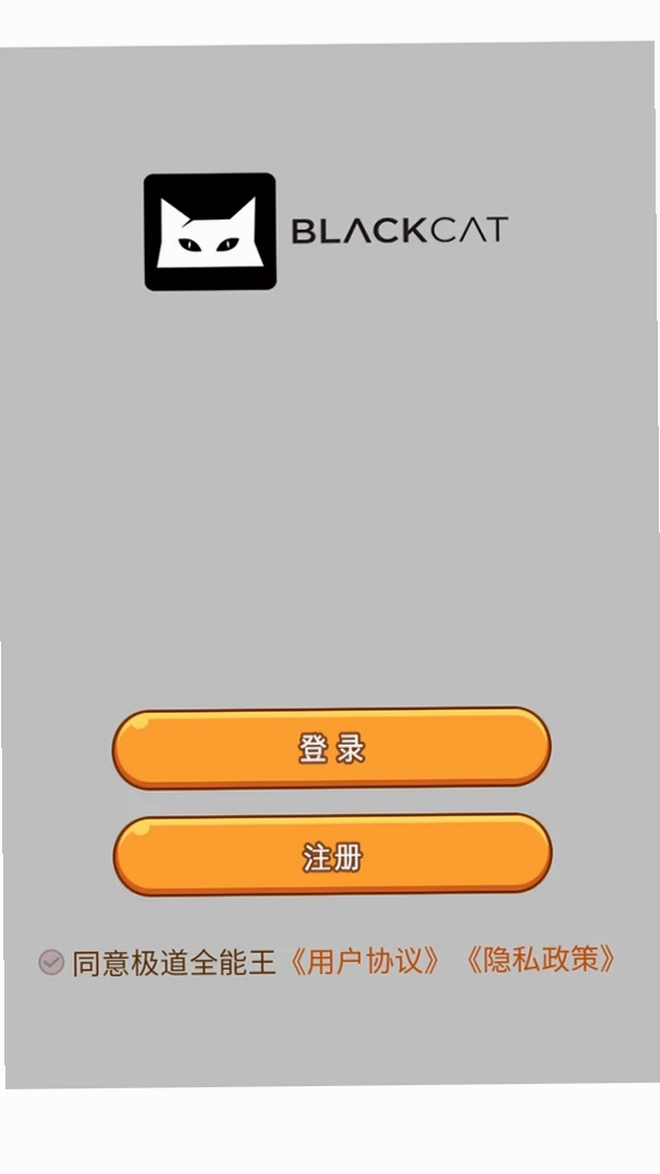 极道全能王运行截图