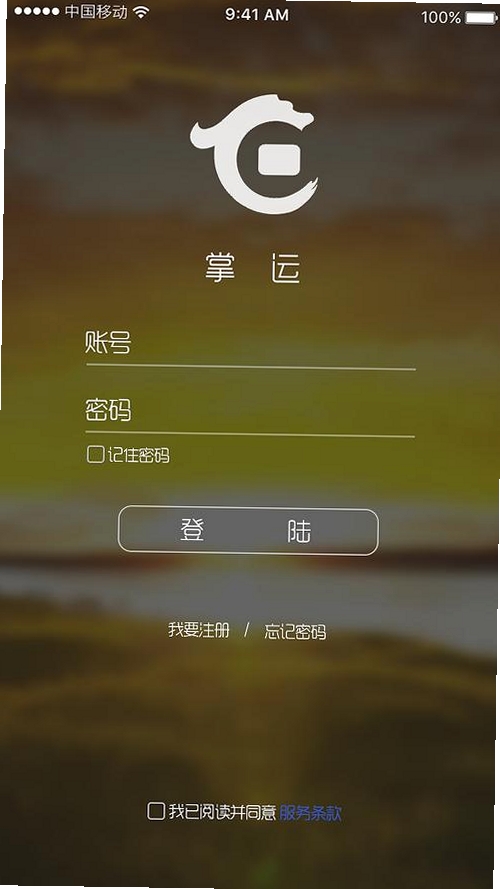 辰光游享运行截图