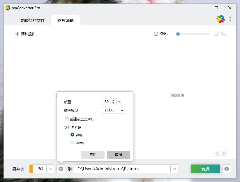 reaconverter Pro版官方最新运行截图