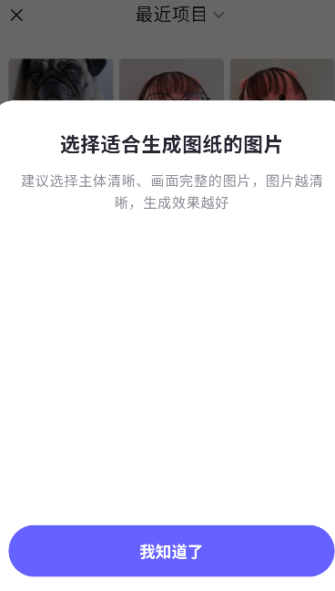 Pixtodot皮土豆运行截图