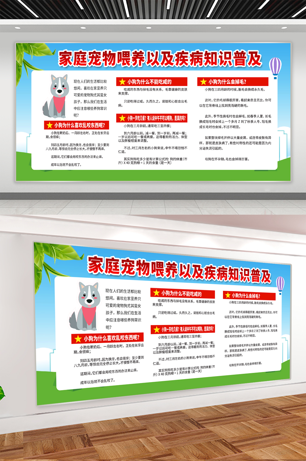 野生狗奶 认识与安全提醒