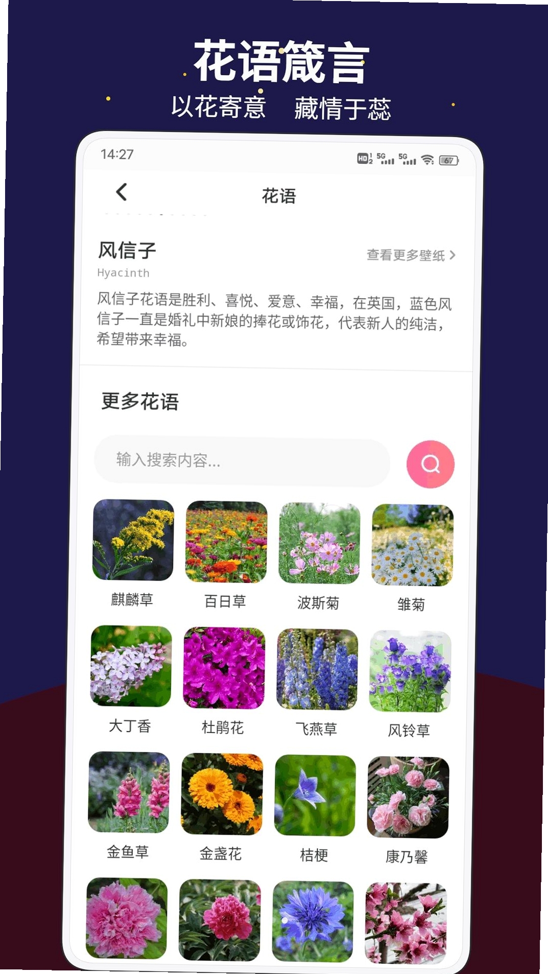 惠聚生活运行截图