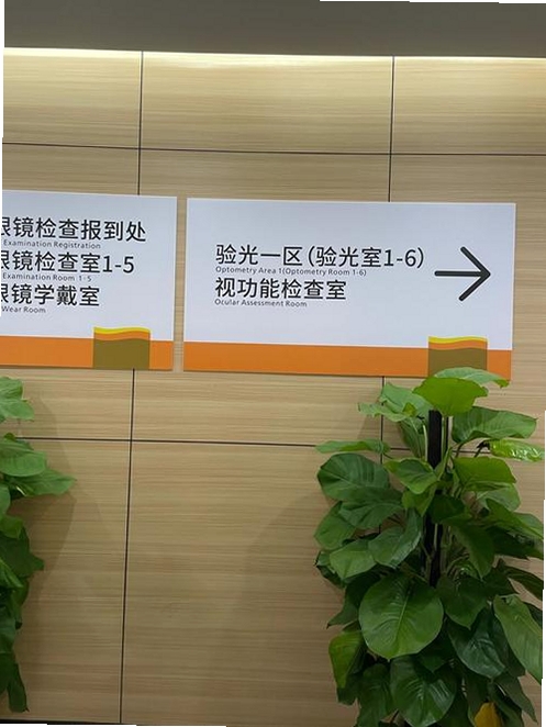 中山眼科中心运行截图