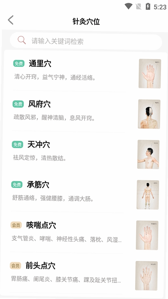 中医经络穴位(TCM Acupoint)运行截图