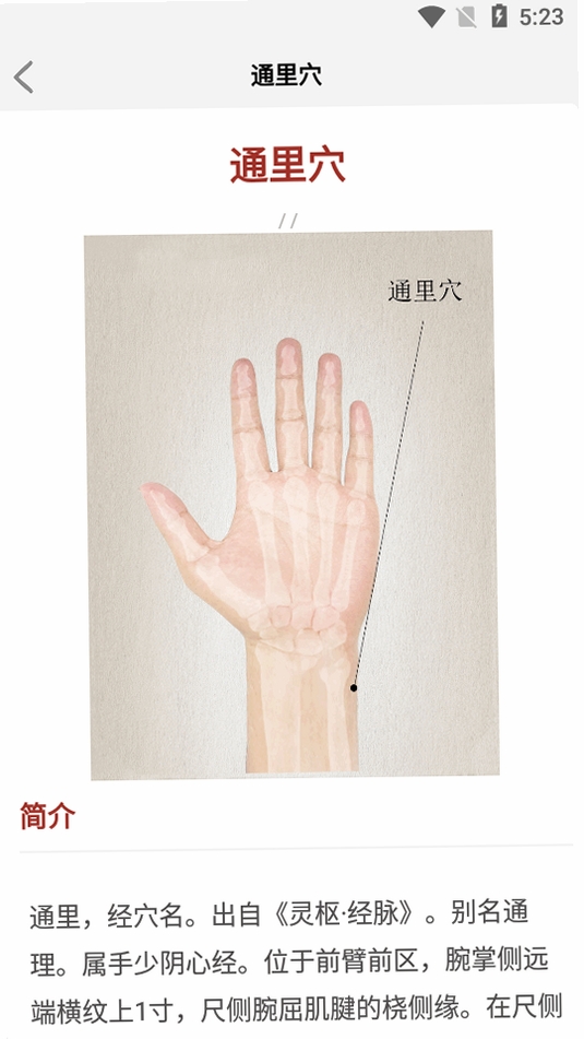 中医经络穴位(TCM Acupoint)运行截图