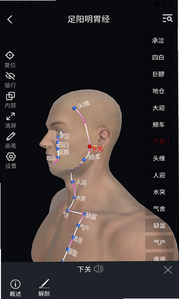 中医经络穴位(TCM Acupoint)运行截图