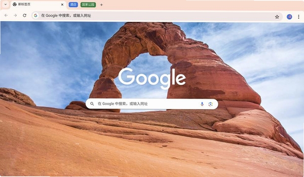 Gohole浏览器运行截图