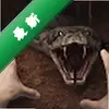 Anaconda Horror Gameͼ��
