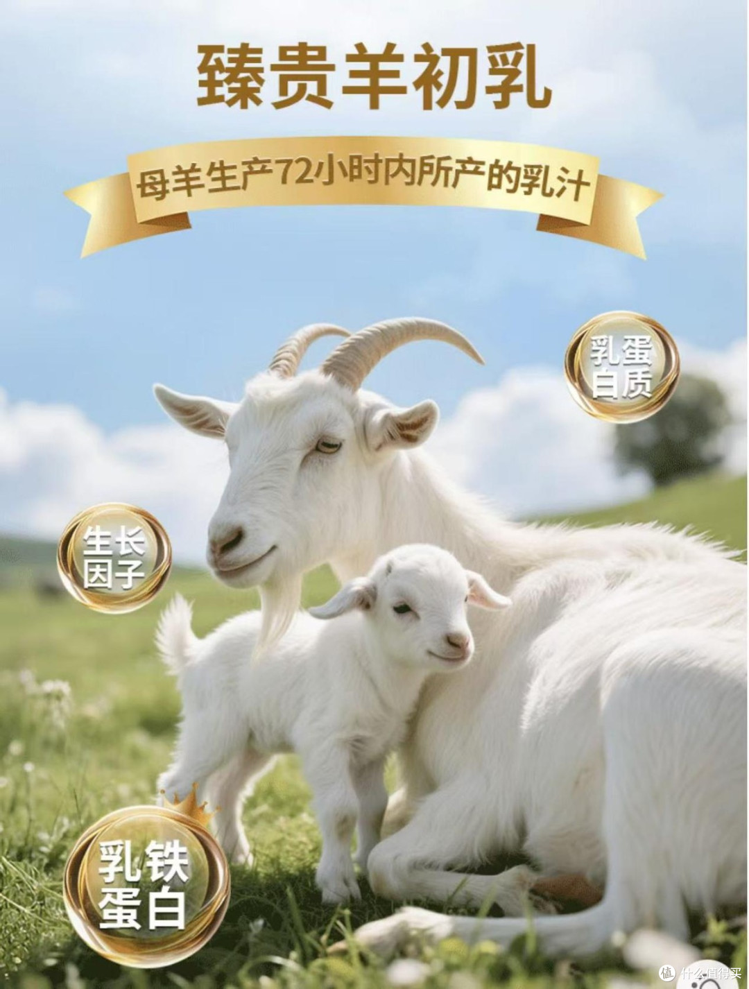 冠羚优选羊奶粉 用户评价 口碑 对比