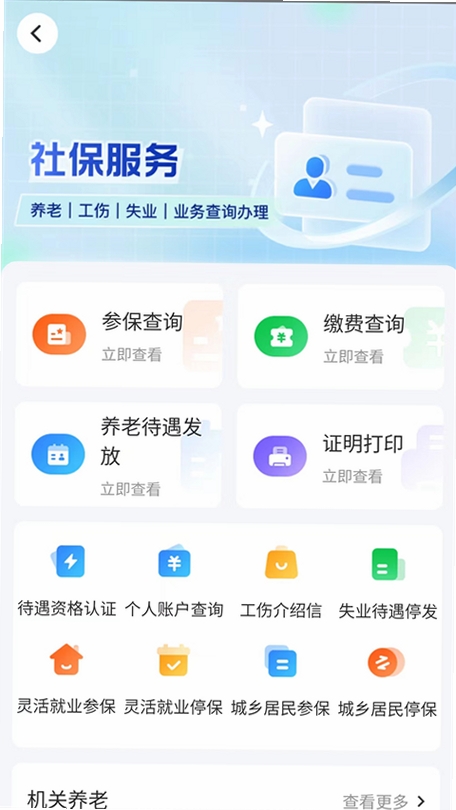 社保养老保险计算运行截图