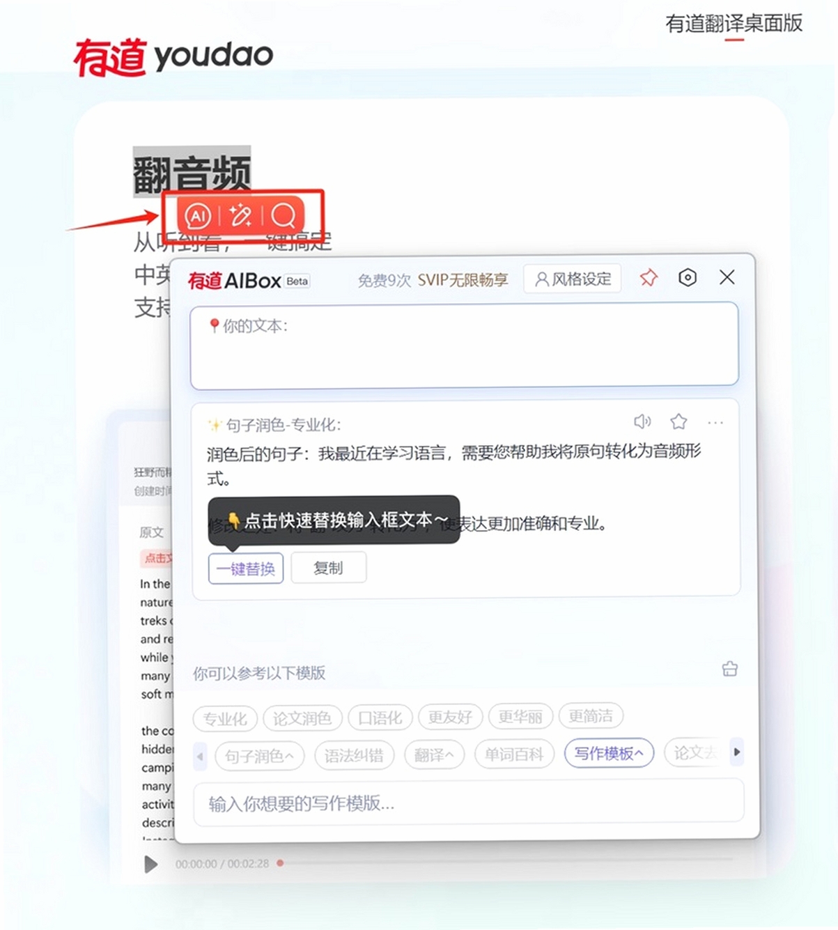 网易有道翻译 安装教程 界面设置