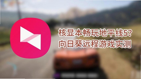 向日葵远程控制运行截图