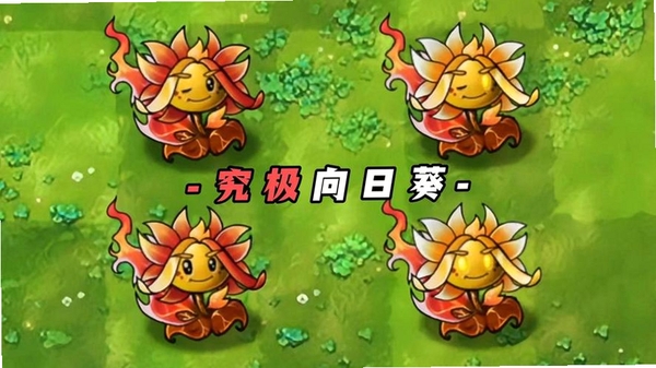 向日葵远程控制运行截图