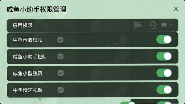 咸鱼小助手权限管理界面,列出应用权限列表,每个权限旁有开关图标,界面清晰,背景为浅绿色,传达安全与信任感