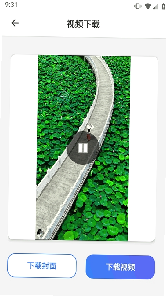 视频号下载助手运行截图