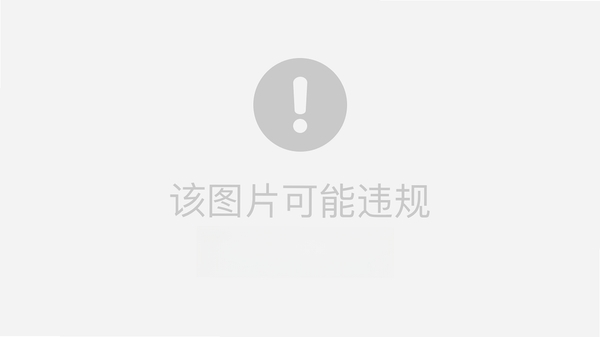 ExifPro安装教程