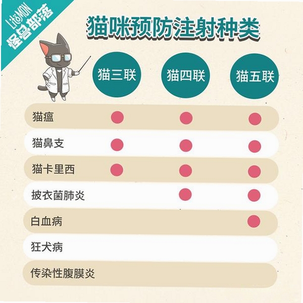 三喵记 猫 健康管理
