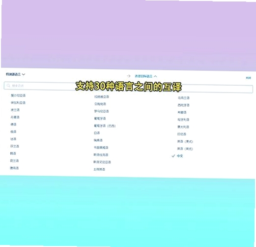 DeepL官方版运行截图