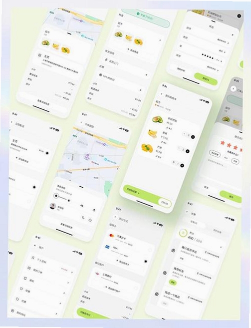 千鲜配运行截图