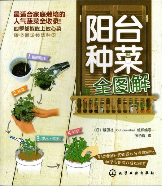 种植博士 阳台种菜 光照浇水 技巧 配图