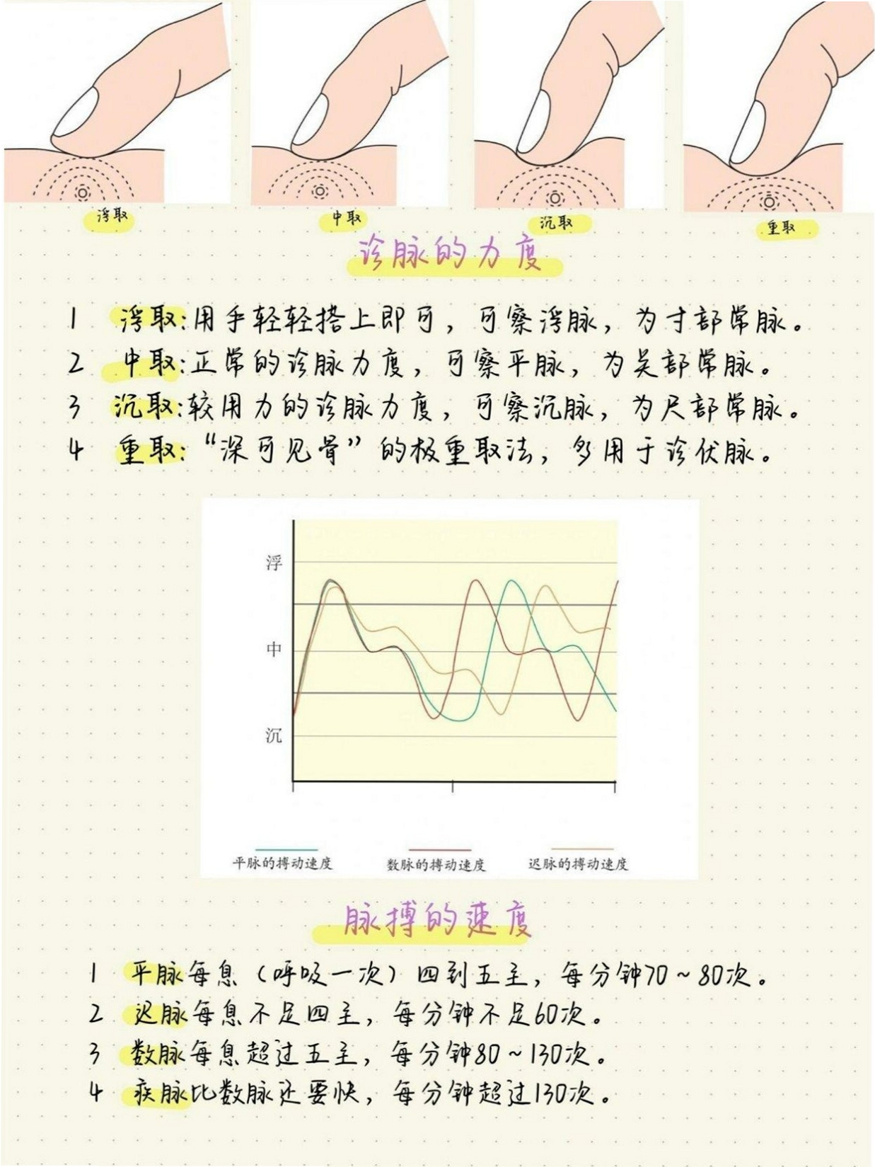 鹰脉 脉诊 使用教程