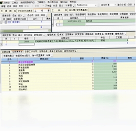 亿吉尔内河19概预算软件 初始化失败 0xc000007b