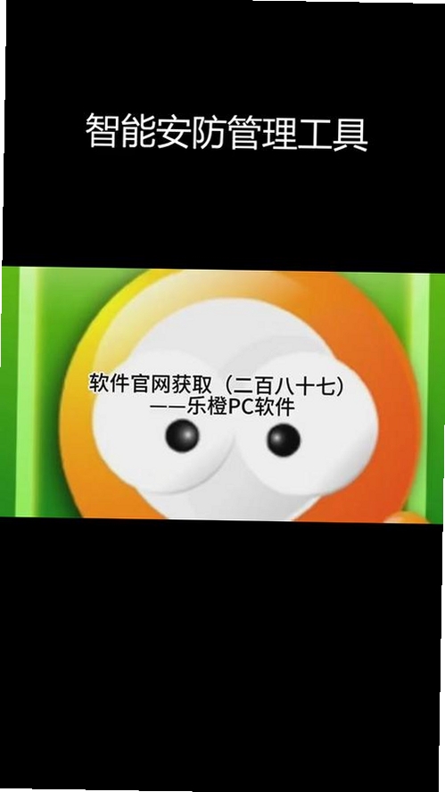 乐橙PC软件运行截图