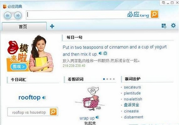 必应词典BingDictionary运行截图