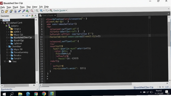 Bloodshed Dev-Cpp 编程软件主界面截图,深色代码编辑区,左侧文件浏览树,上方菜单栏,整体简洁清晰,电脑桌面环境