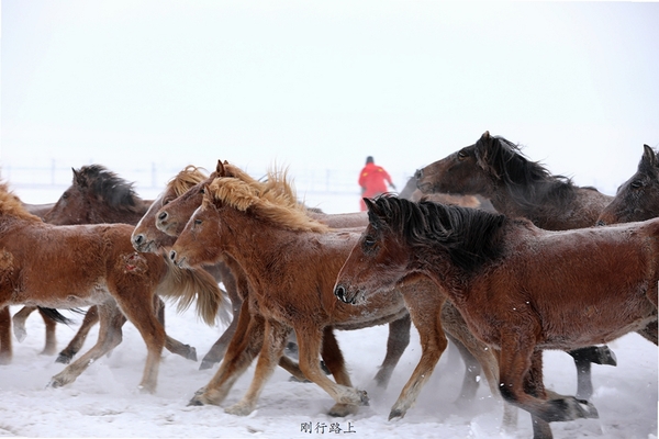PDF大师 错误修复