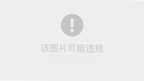 Firefox多功能版鼠标手势设置界面