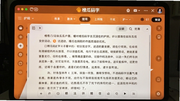 橙瓜码字沉浸式写作界面,全屏无干扰,暖色护眼背景,屏幕上显示部分小说文稿