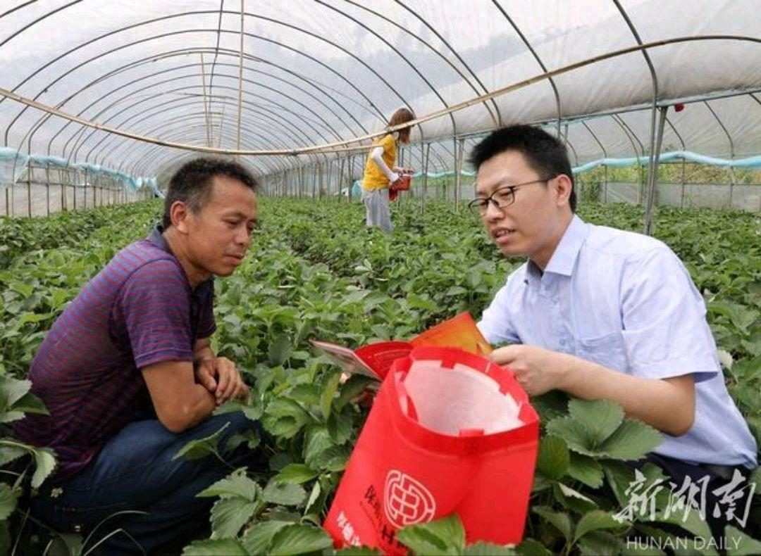 重庆农商行贷款申请条件材料