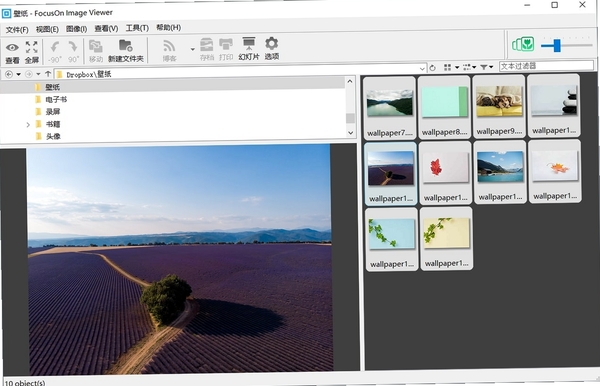 FocusOn Image Viewer �õ�Ƭ��ӳЧ��ͼ