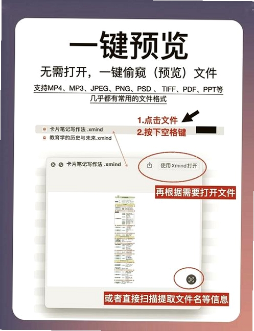 PDF格式宝运行截图