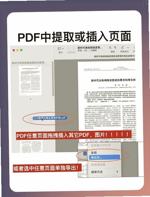 PDF格式宝运行截图