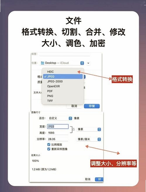 PDF格式宝运行截图