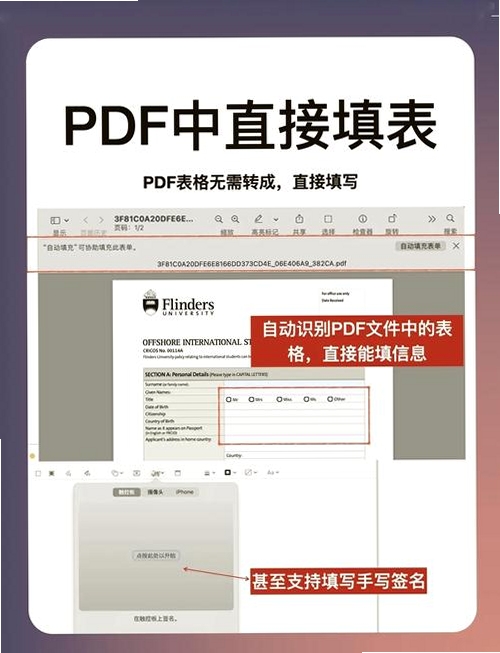 PDF格式宝运行截图